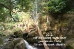bild068.jpg --- erstellt mit  - www.abbe-felix.de
